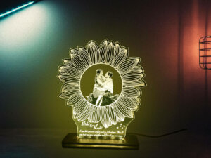 LED Plaque