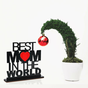 Best Mom In The World Wooden Trophy Gift For Mom or Mother