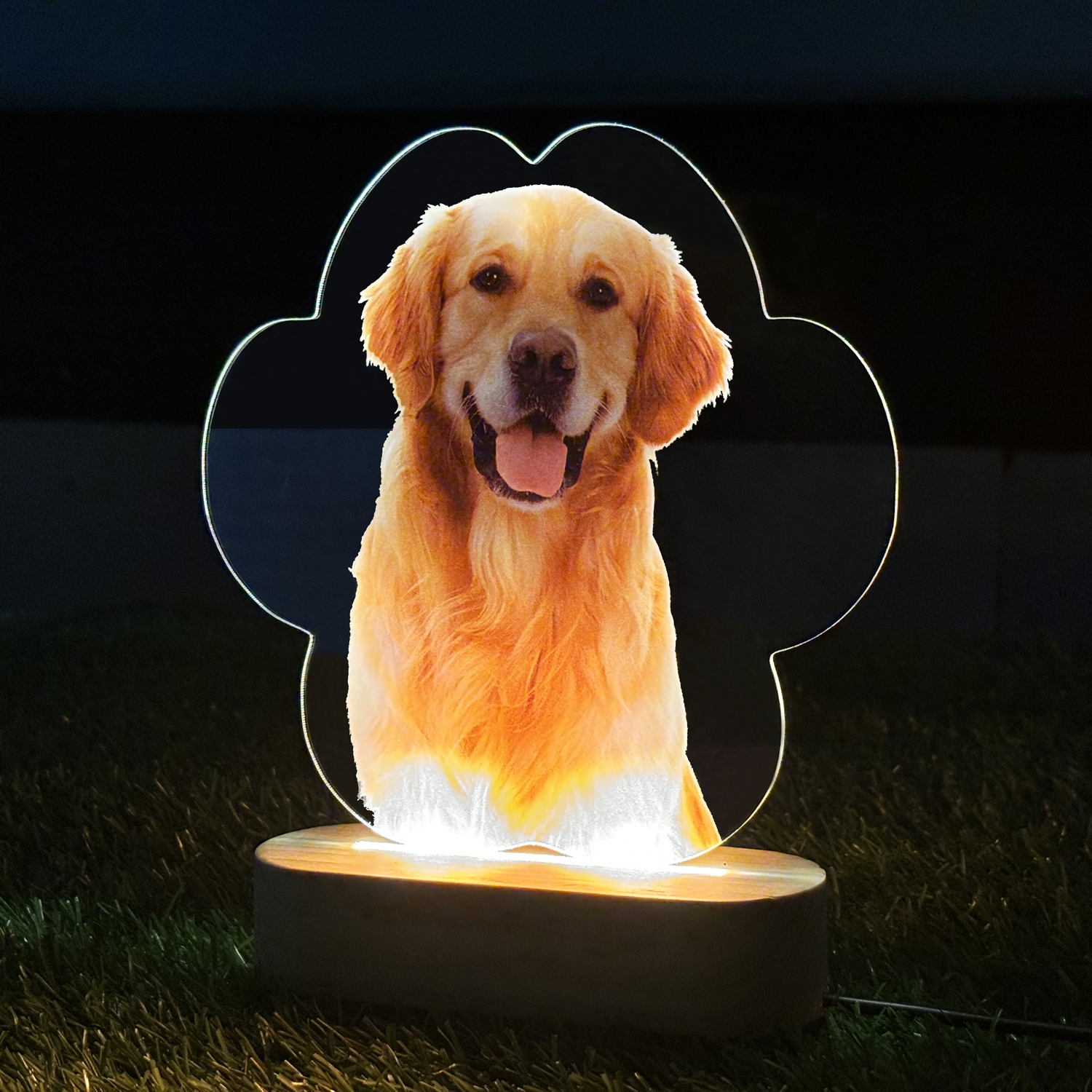 Personalized Photo LED Lamp Pet Picture Frame – Perfect Gift for